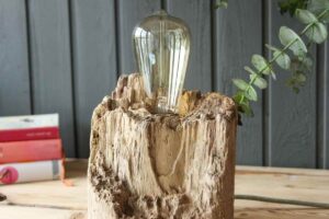 Treibholz Lampe Signal