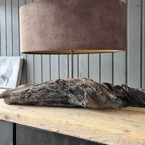 Treibholz Tischlampe Seebär