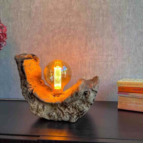 Treibholz Lampe Driftwood