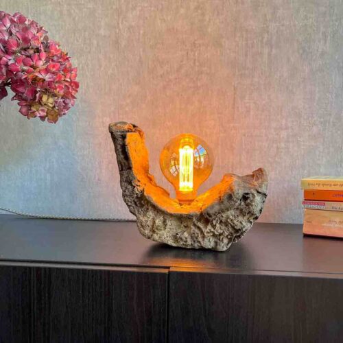 Treibholz Lampe Driftwood