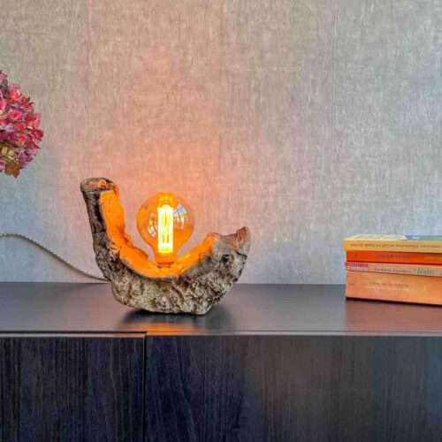 Treibholz Lampe Driftwood