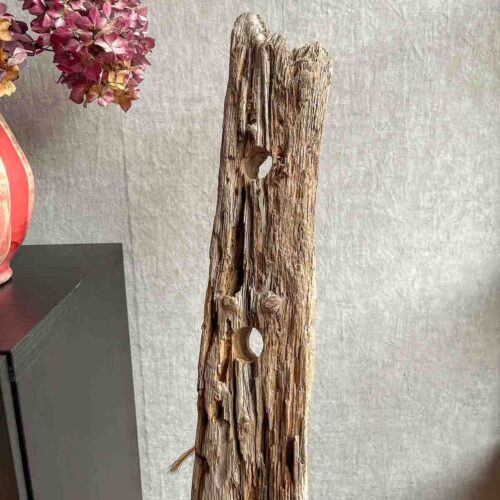 Treibholz Flaschenlotse – Bild 14