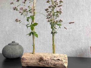 Treibholz Vase Flaggschiff