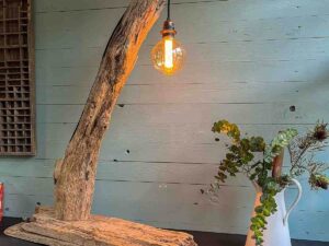 Treibholz Lampe Zwischendeck
