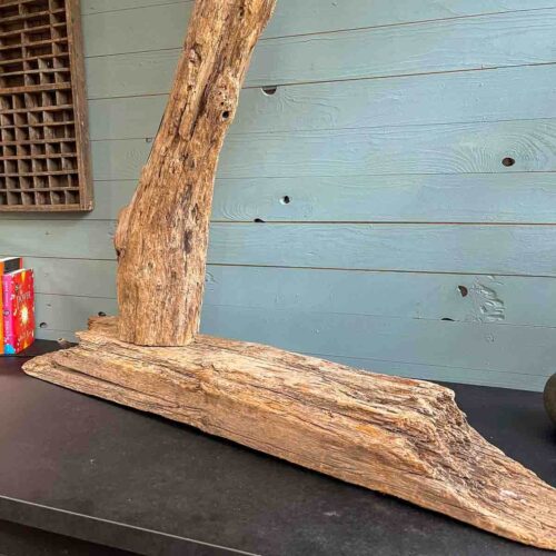 Treibholz Lampe Zwischendeck