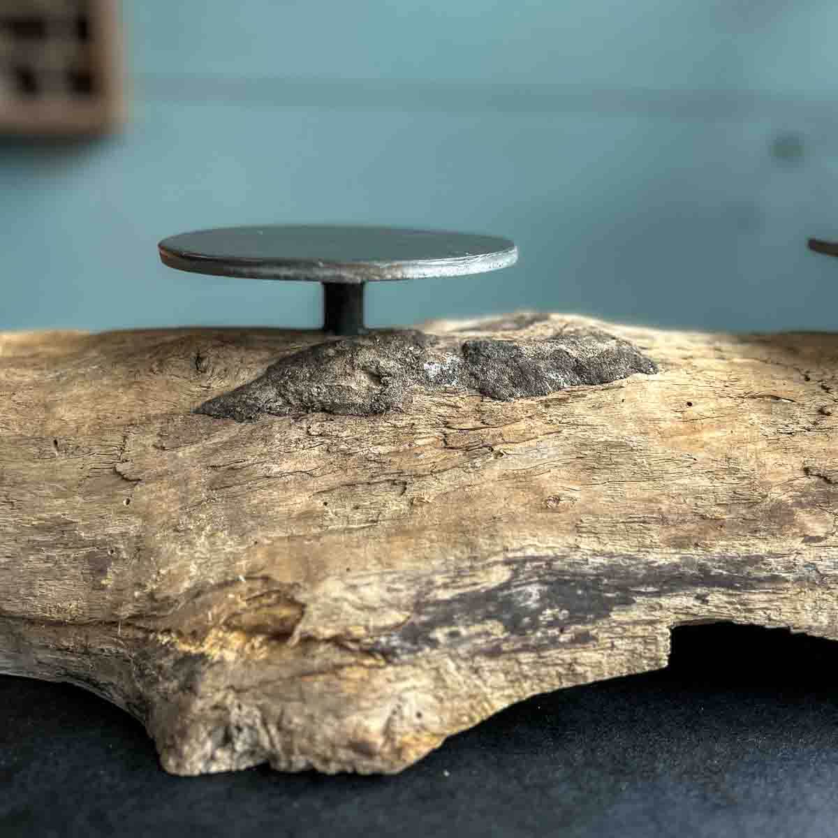 Treibholz Kerzenständer Leuchtfeuer