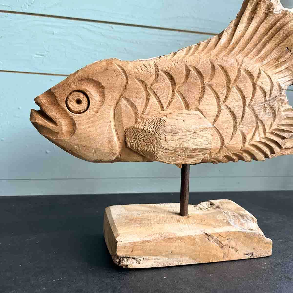 Treibholz Fisch Elbflosse