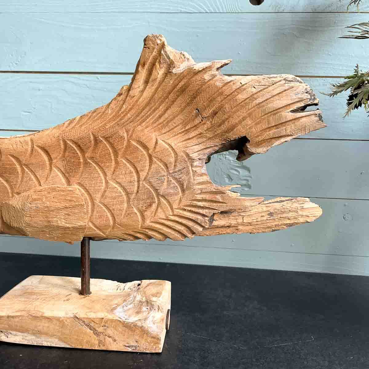 Treibholz Fisch Elbflosse