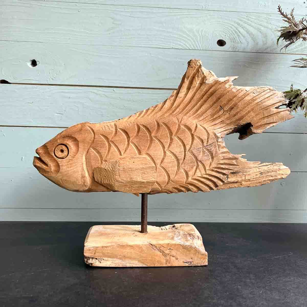 Treibholz Fisch Elbflosse