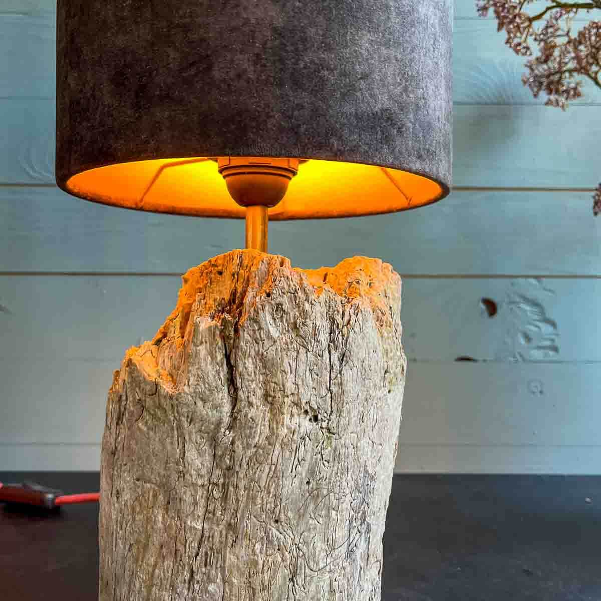 Treibholz Lampe Ebbe