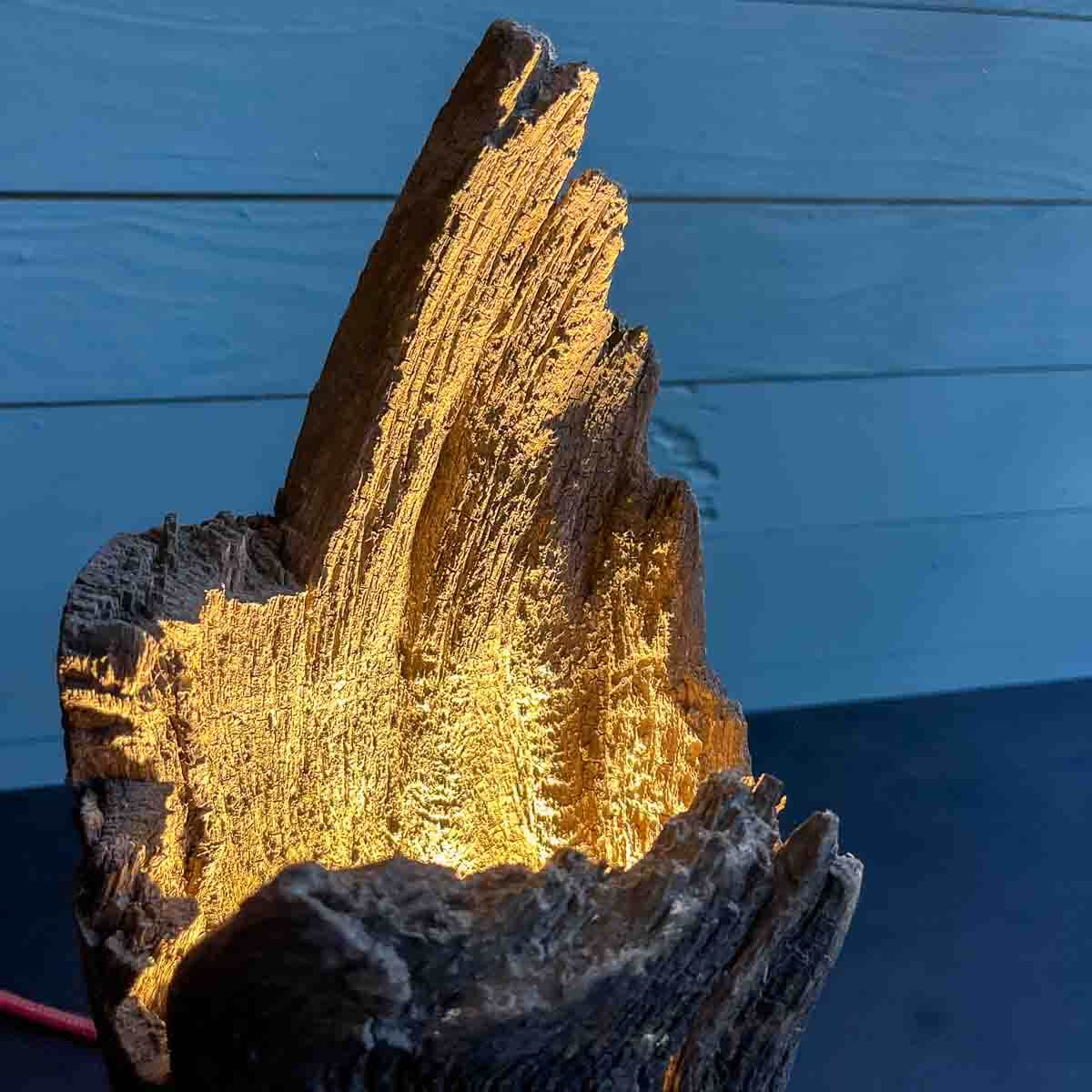 Treibholz Lampe Sandgeflüster