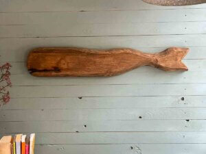 Treibholz Pottwal Meeresgruß