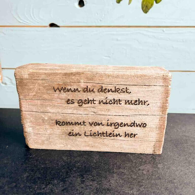 Treibholz Schild Lichtlein