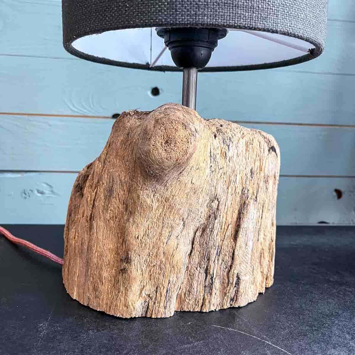 Treibholz Lampe Seebär