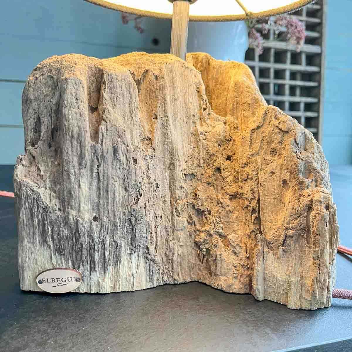 Treibholz Lampe Seebär