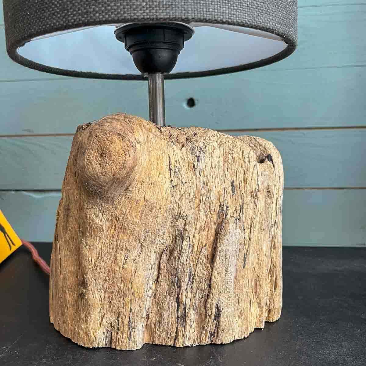 Treibholz Lampe Seebär
