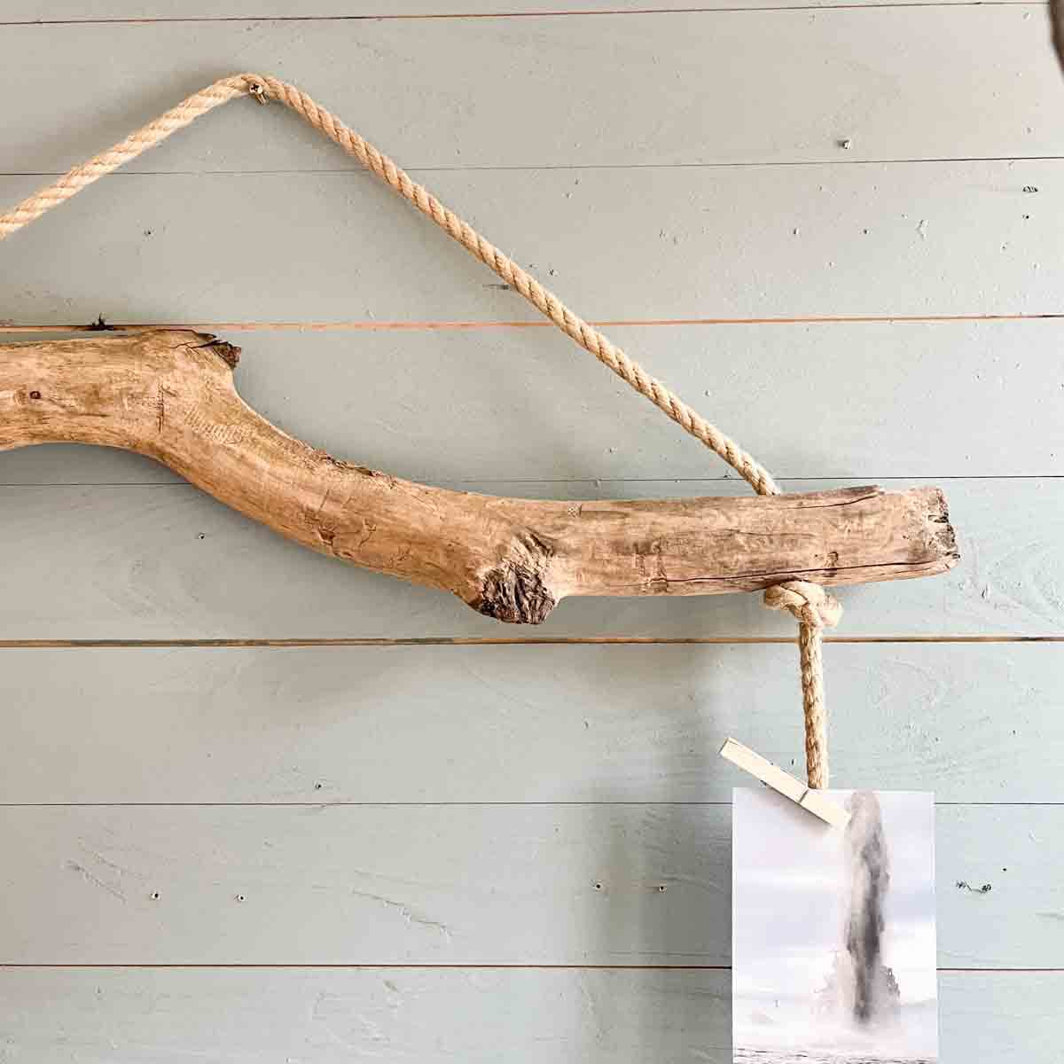 Treibholz Postkartenpinnwand Strandgut