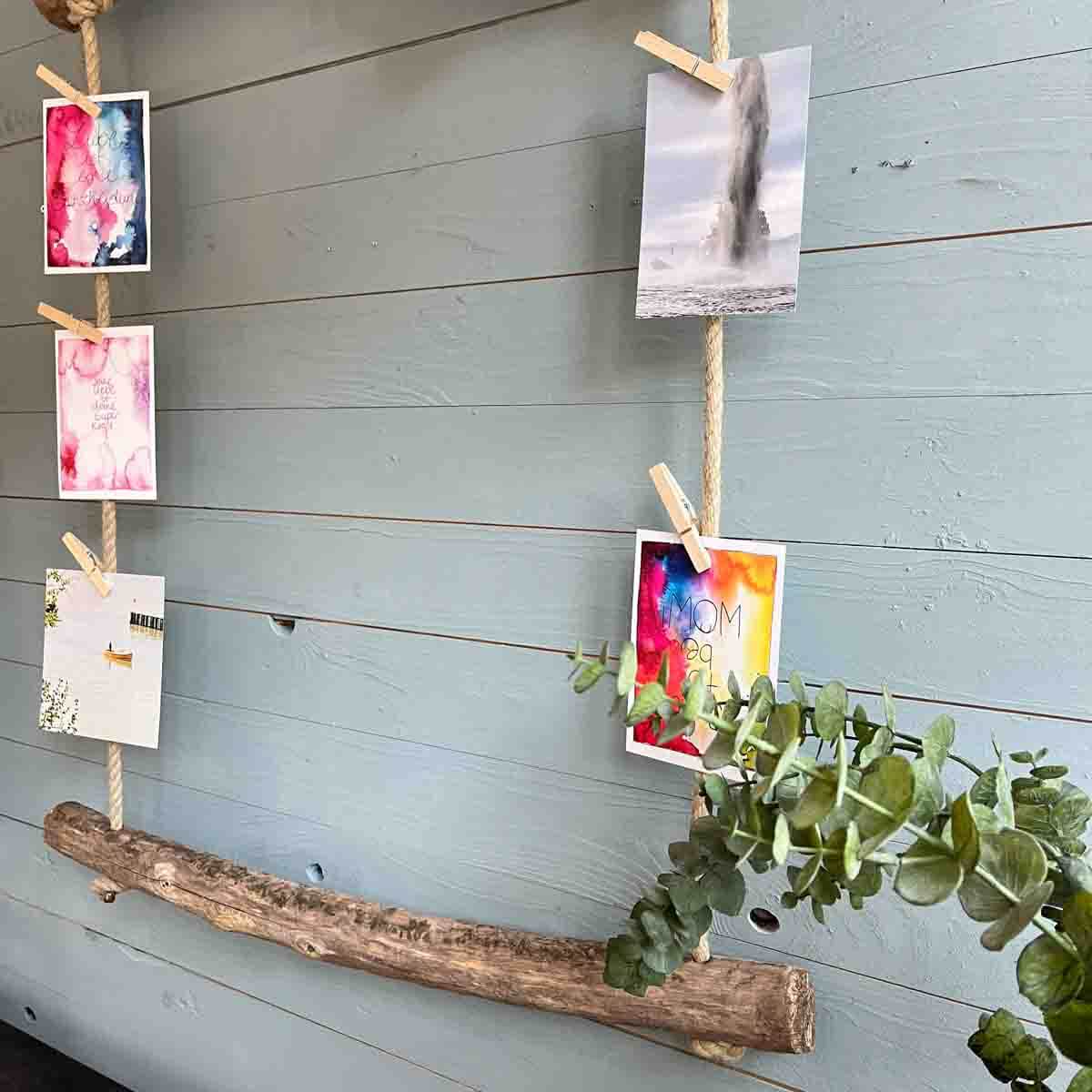 Treibholz Postkartenpinnwand Strandgut