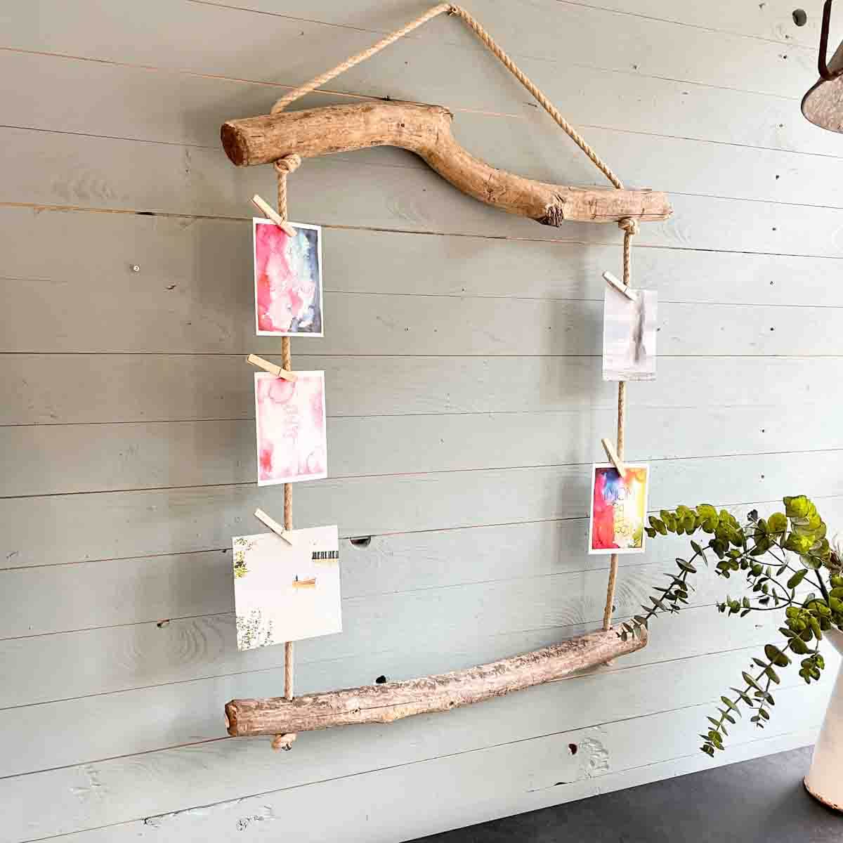 Treibholz Postkartenpinnwand Strandgut