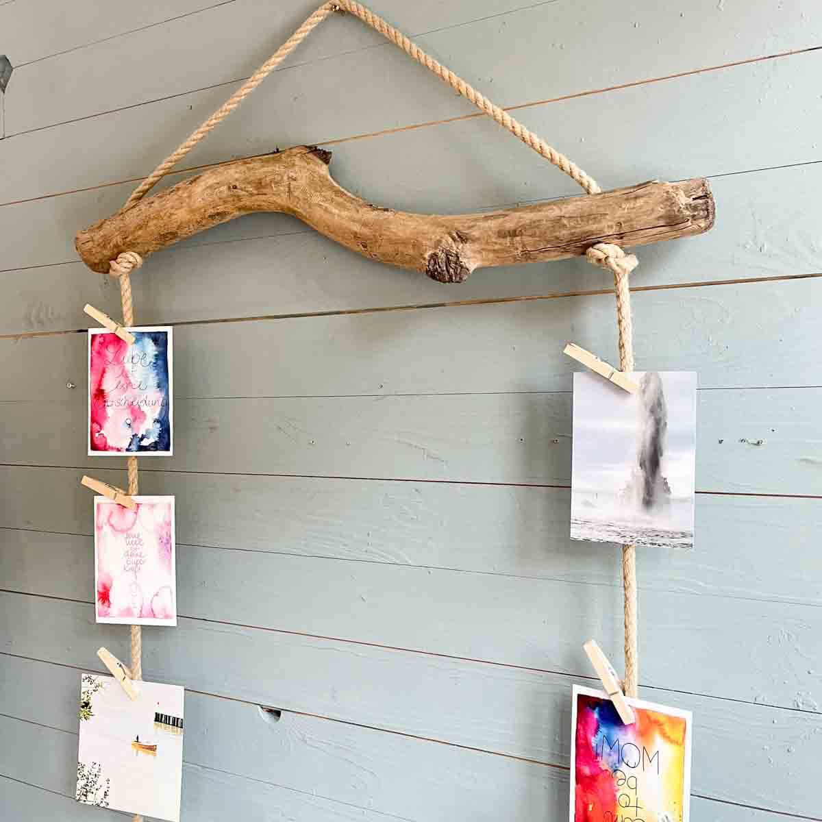 Treibholz Postkartenpinnwand Strandgut