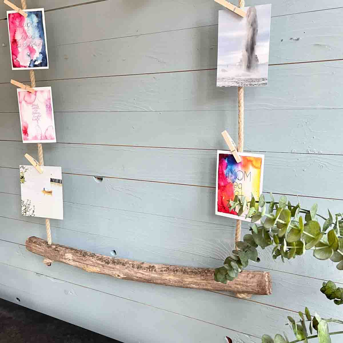 Treibholz Postkartenpinnwand Strandgut