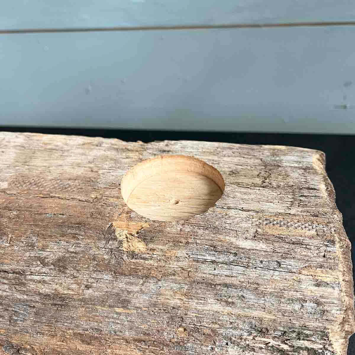 Treibholz Teelichthalter Seebrise