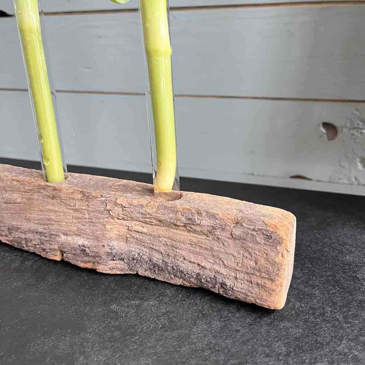 Treibholz Vase Alte Liebe