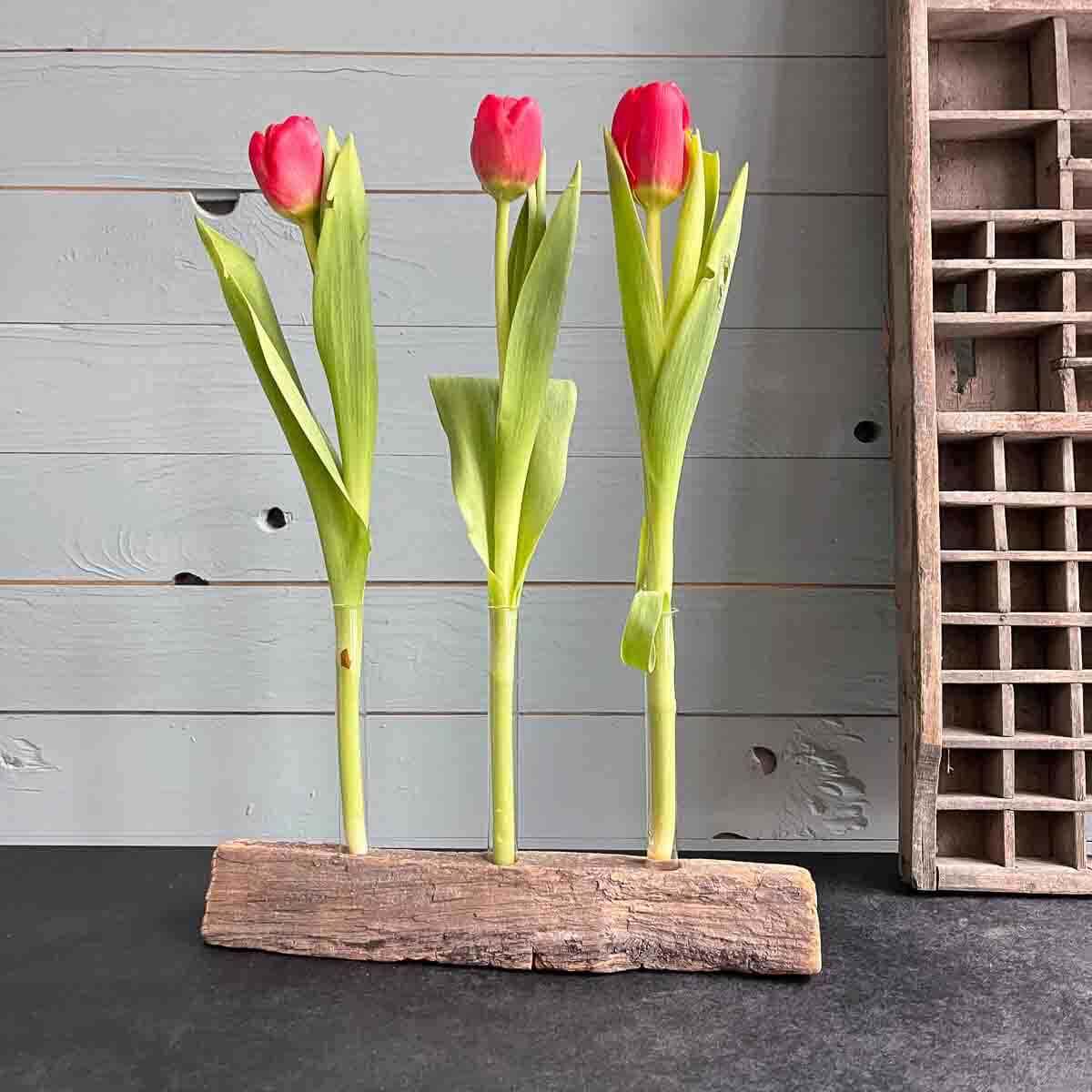 Treibholz Vase Alte Liebe