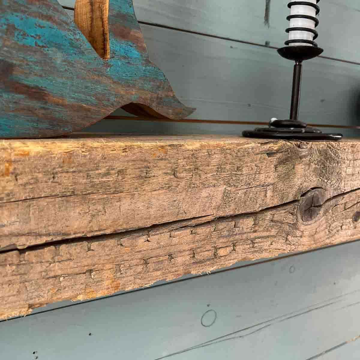 Treibholz Wandregal Seezeichen