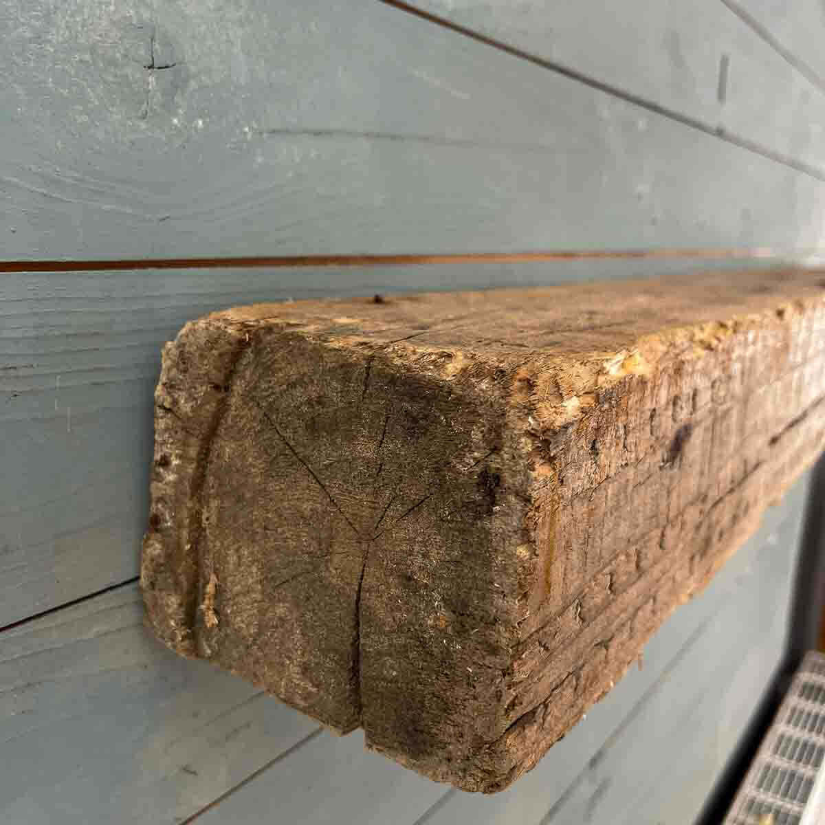 Treibholz Wandregal Seezeichen