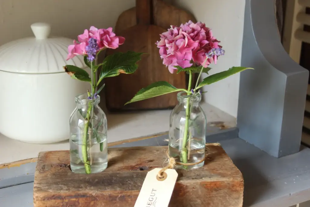 Treibholz Vase mit blumen