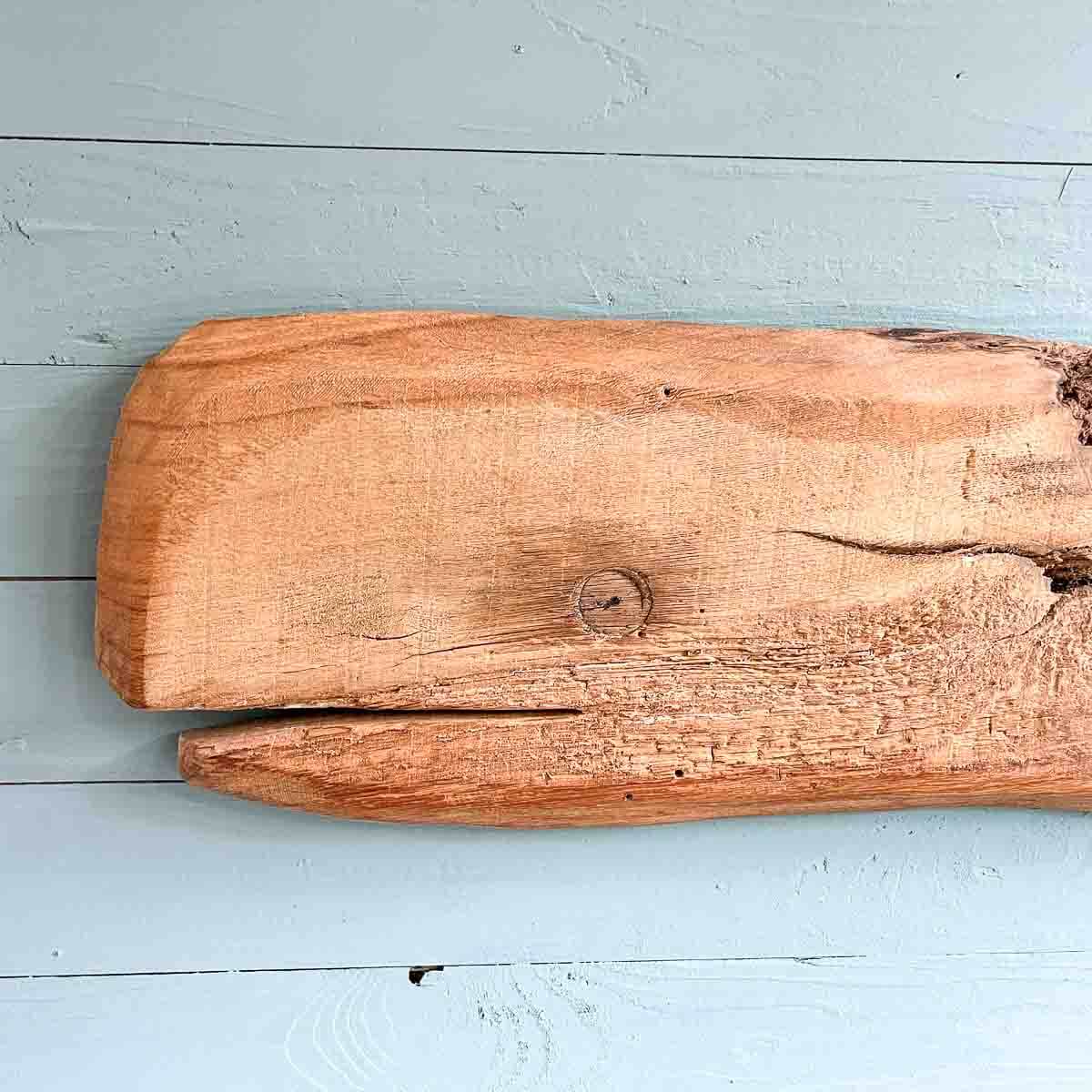 Pottwal Meeresgruß