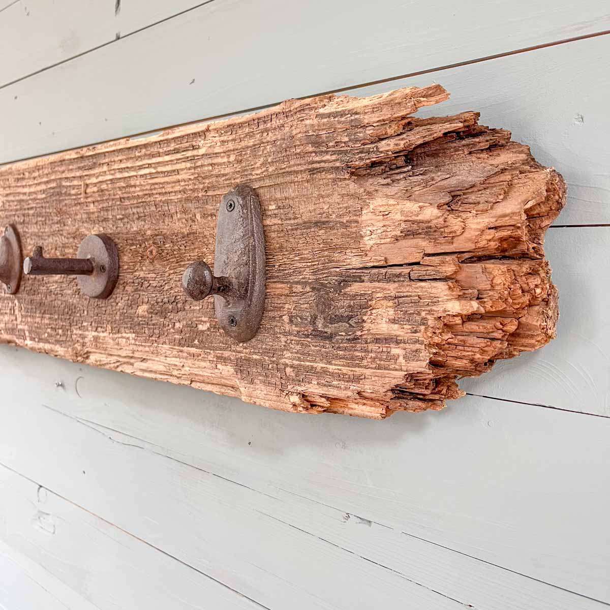 Treibholz Garderobe Hafenblick